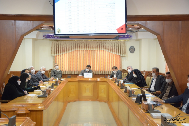 نخستین جلسه شورای مهارت استان گلستان در سال 99 برگزار شد