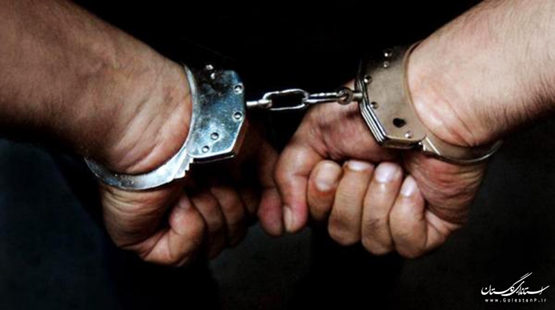 دستگیری 7 نفر از دو باند حفاری غیرمجاز در شهرستان کلاله