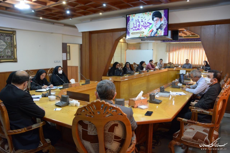 بیش از 260 زن سرپرست خانوار در استان گلستان از آموزش های مهارتی بهره مند شدند