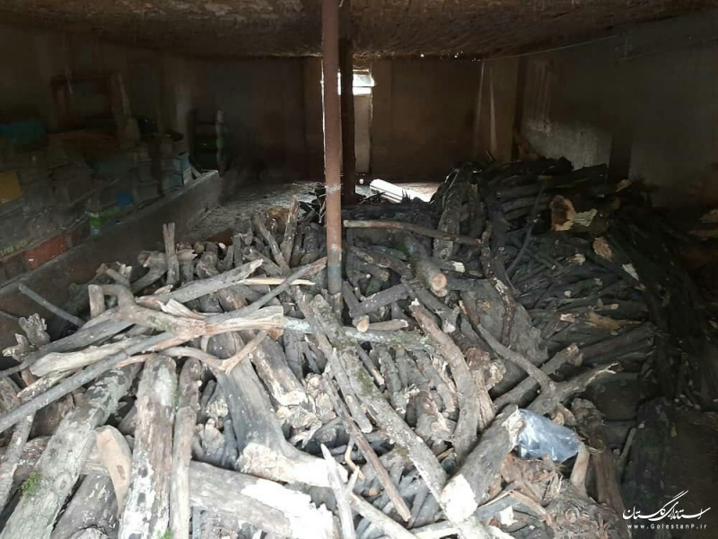 کشف و ضبط 10تن کوره ذغال غیر قانونی در علی آباد کتول