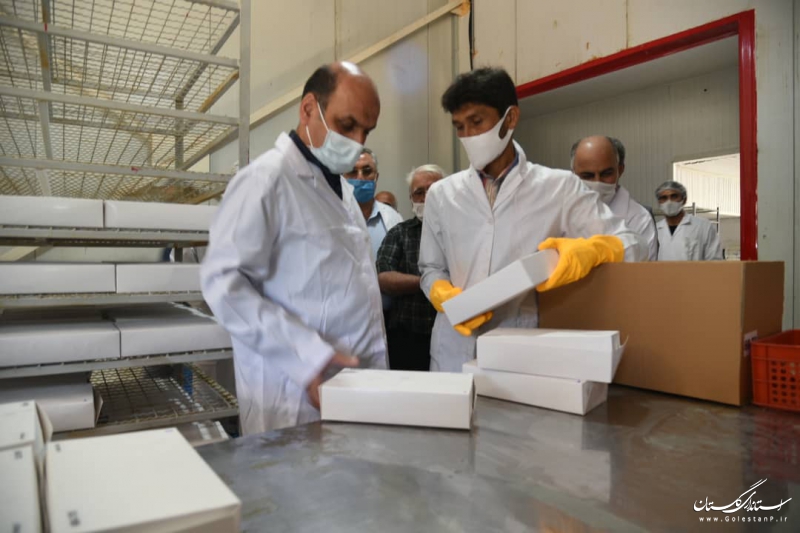 بازدید استاندار گلستان از تنها کارخانه فرآوری و بسته بندی میگوی استان در کردکوی