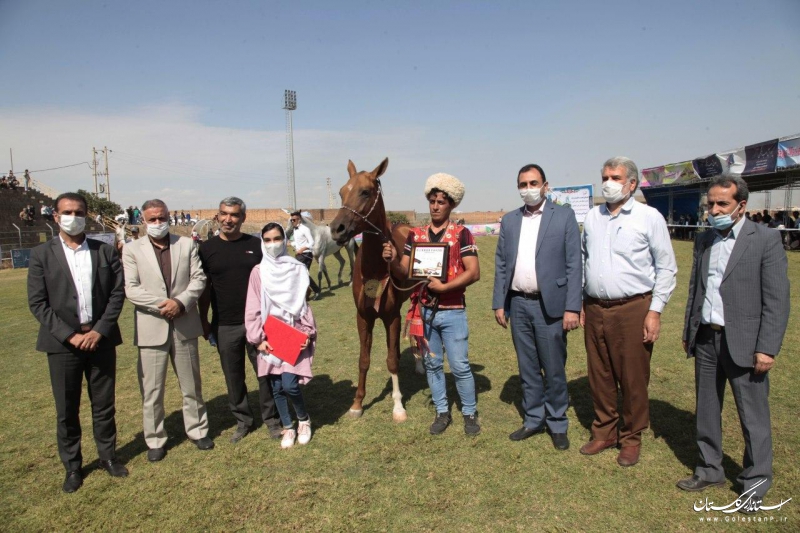 برگزاری دومین مسابقه زیبایی اسب اصیل ترکمن در علی‌آبادکتول
