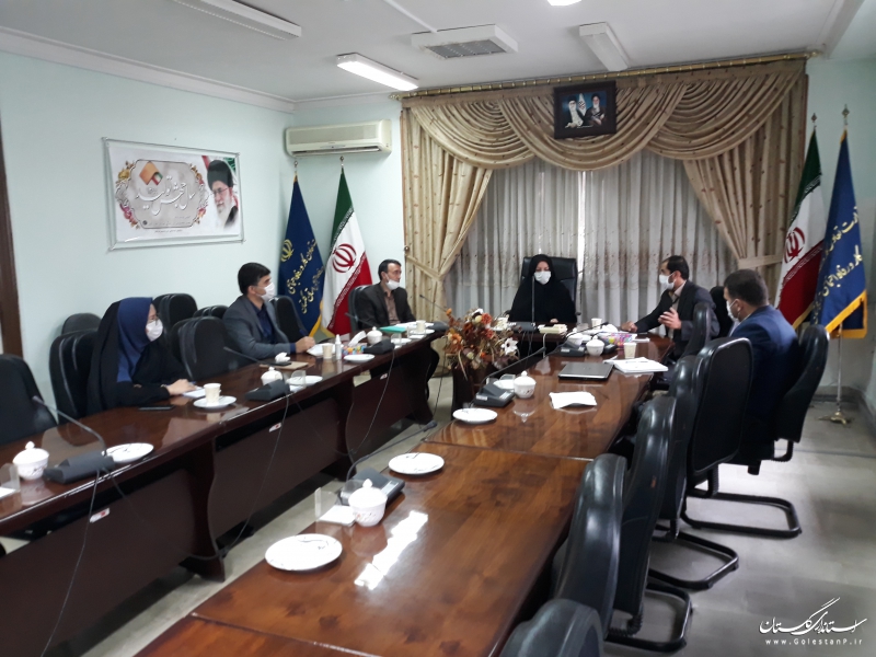کمیته نظارت بر طرح توانمند سازی اقتصادی زنان سرپرست خانوار استان گلستان برگزارشد