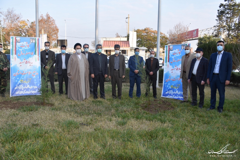 کاشت نهال به یاد شهدای مدافع سلامت استان گلستان و شهدای هسته ای