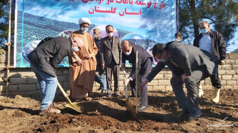 امسال 4 هزار هکتار از اراضی شیبدار استان به باغات مثمر تبدیل می شوند
