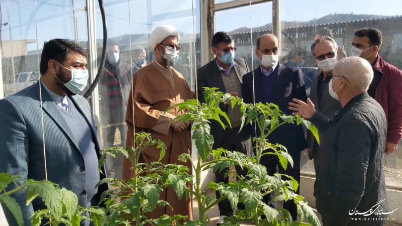امسال 4 هزار هکتار از اراضی شیبدار استان به باغات مثمر تبدیل می شوند