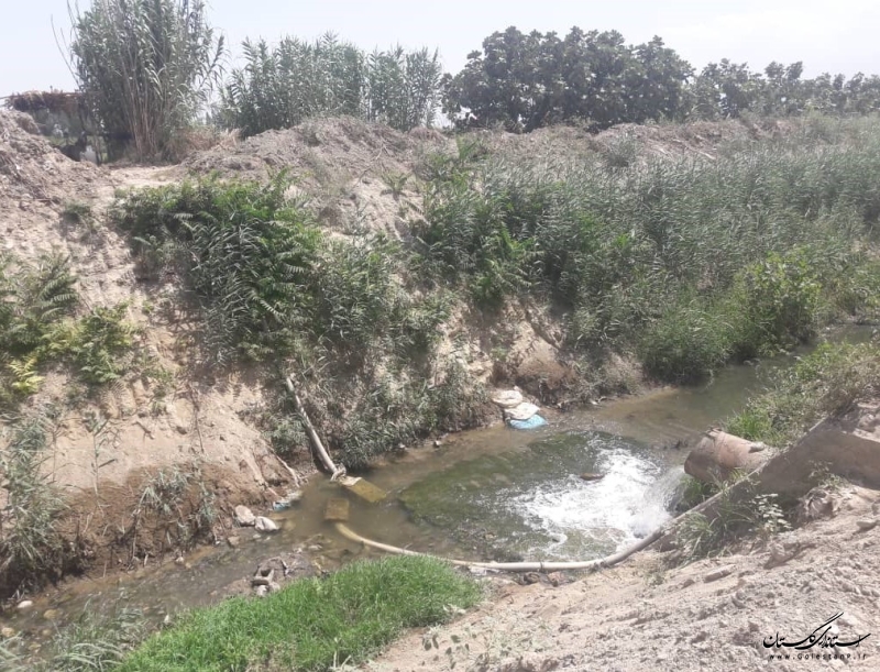 شناسایی تعداد 94 مورد آبیاری مزارع با آبهای آلوده در استان و ارجاع به مراجع ذیربط