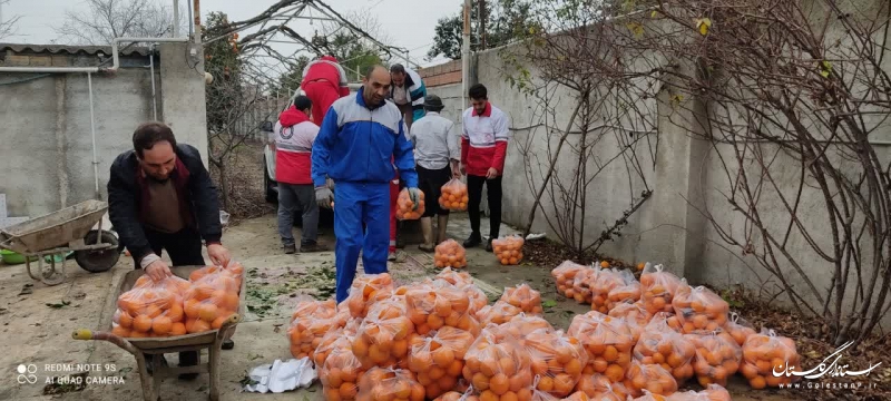 2/5  تن از محصول باغ پرتقال داوطلب گلستانی سهم کمک به زلزله زدگان خوی شد