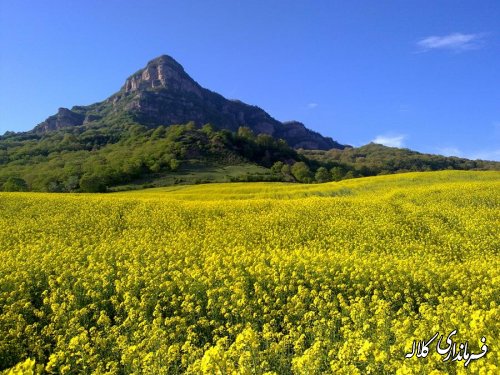 نشست خبری فرماندار کلاله با خبرنگاران در حوزه خدمات سفرهای نوروزی