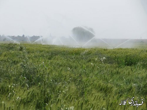 حفاظت از منابع آب با اجرای طرح های آبیاری نوین امکان پذیر است