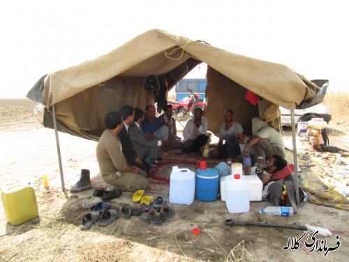 بازدید سرزده فرماندار کلاله از گندم کاران و مزارع کشاورزی شهرستان