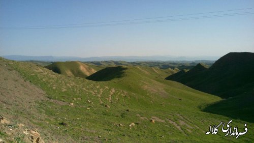 بازدید فرماندار از جاده و مسیر دسترسی روستای گچی سو