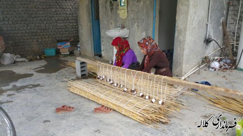 بازدید فرماندار کلاله و مدیرعامل صندوق کارآفرینی امید از 4 پروژه اشتغالزایی