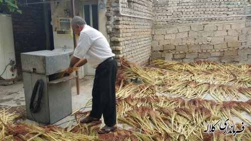 بازدید فرماندار کلاله و مدیرعامل صندوق کارآفرینی امید از 4 پروژه اشتغالزایی