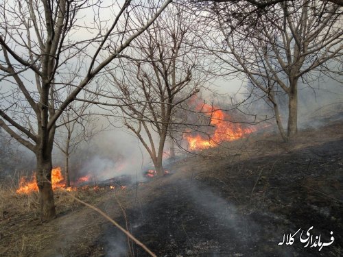 آتش در جنگلهای گلستان مهار شد