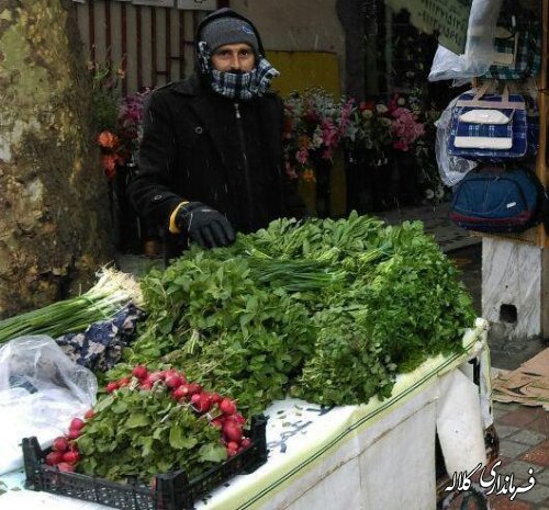 گزارش تصویری بارش برف در شهرستان کلاله