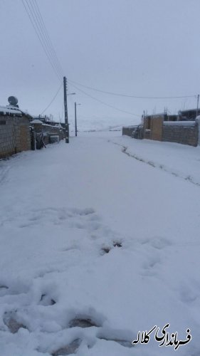 گزارش تصویری بارش برف در شهرستان کلاله