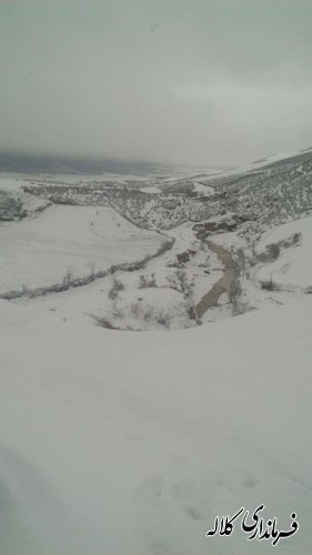 گزارش تصویری بارش برف در شهرستان کلاله