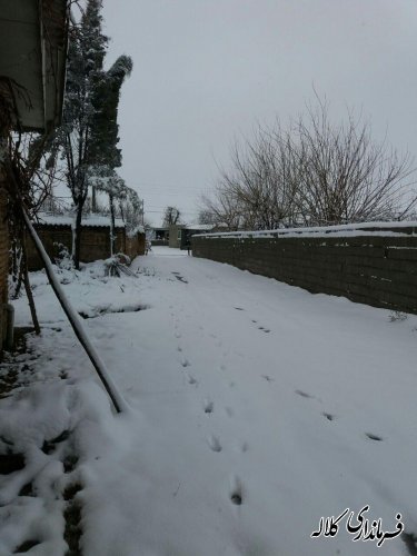 گزارش تصویری بارش برف در شهرستان کلاله