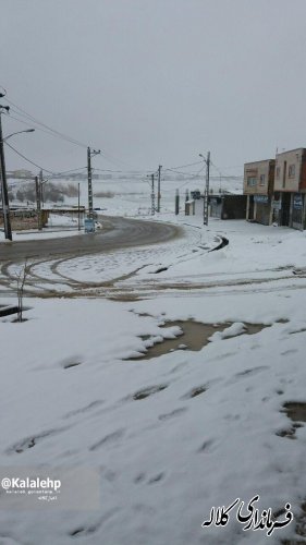 گزارش تصویری بارش برف در شهرستان کلاله