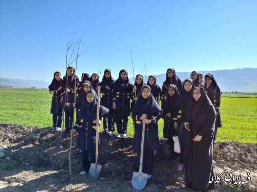 طرح نوار سبز امید کلاله اجرایی شد