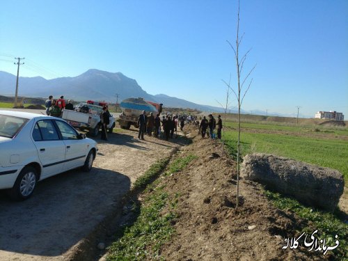 طرح نوار سبز امید کلاله اجرایی شد