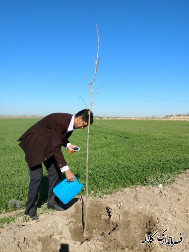 طرح نوار سبز امید کلاله اجرایی شد