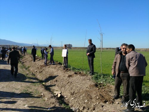 طرح نوار سبز امید کلاله اجرایی شد