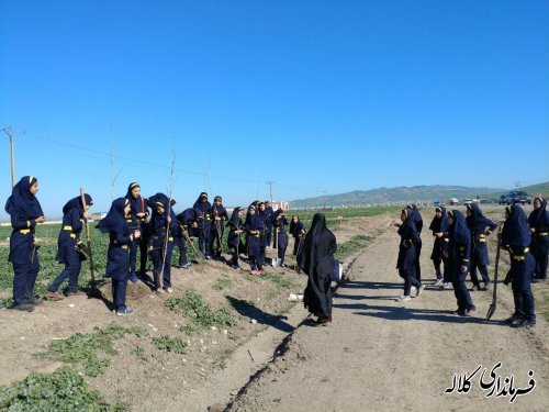 طرح نوار سبز امید کلاله اجرایی شد