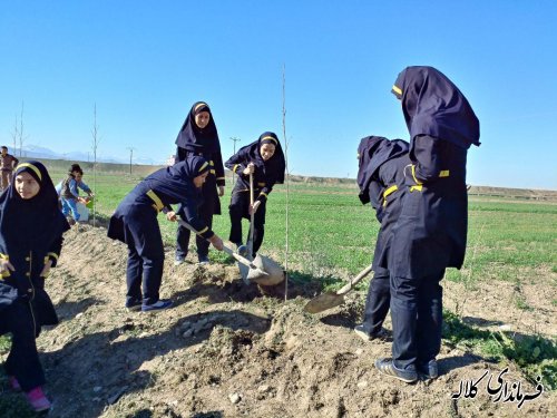 طرح نوار سبز امید کلاله اجرایی شد