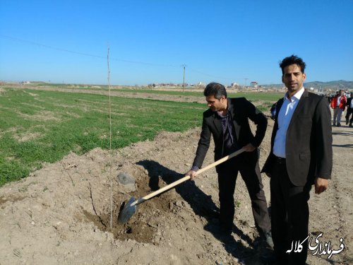 طرح نوار سبز امید کلاله اجرایی شد