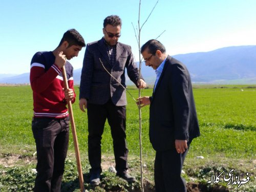 طرح نوار سبز امید کلاله اجرایی شد