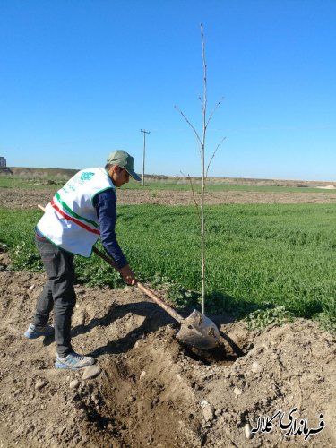 طرح نوار سبز امید کلاله اجرایی شد