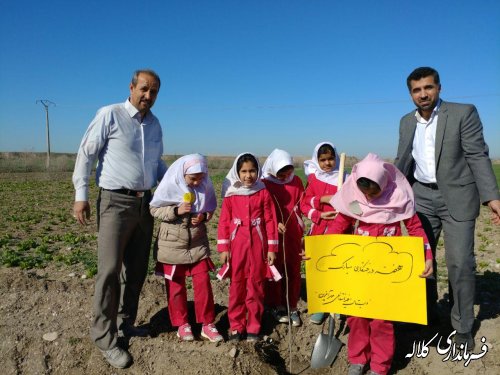 طرح نوار سبز امید کلاله اجرایی شد