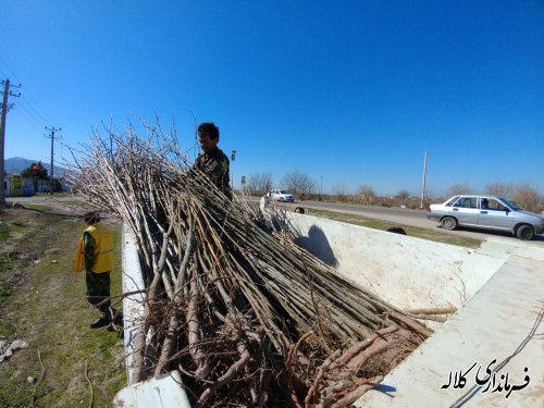 طرح نوار سبز امید کلاله اجرایی شد