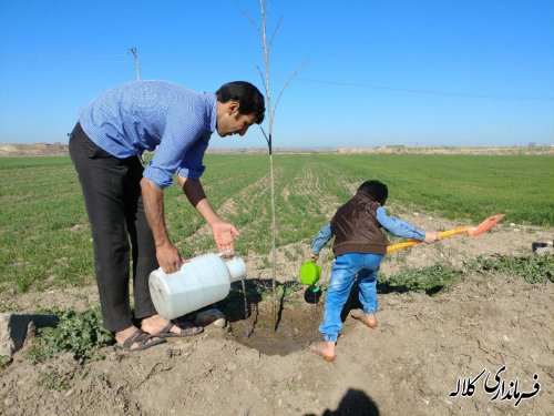 طرح نوار سبز امید کلاله اجرایی شد