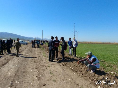 طرح نوار سبز امید کلاله اجرایی شد