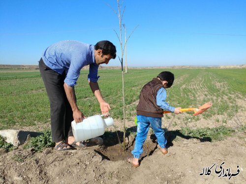 طرح نوار سبز امید کلاله اجرایی شد