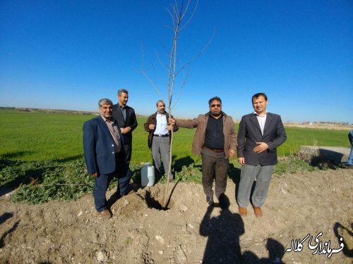 طرح نوار سبز امید کلاله اجرایی شد