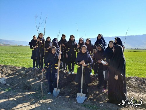 طرح نوار سبز امید کلاله اجرایی شد