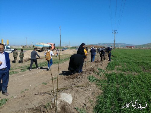 طرح نوار سبز امید کلاله اجرایی شد