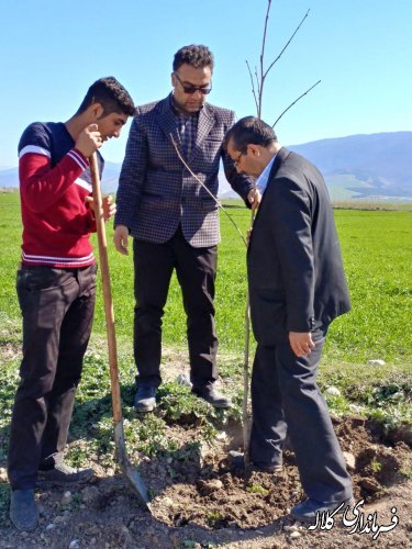 طرح نوار سبز امید کلاله اجرایی شد