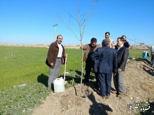 طرح نوار سبز امید کلاله اجرایی شد