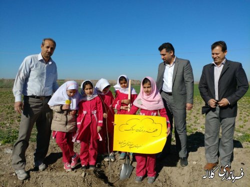 طرح نوار سبز امید کلاله اجرایی شد