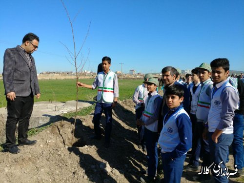 طرح نوار سبز امید کلاله اجرایی شد