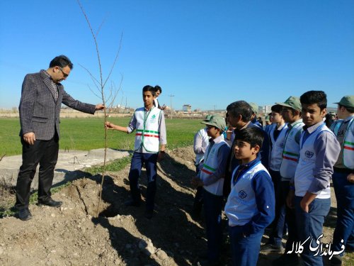 طرح نوار سبز امید کلاله اجرایی شد