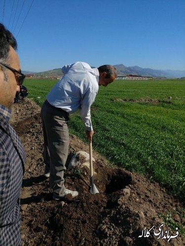 طرح نوار سبز امید کلاله اجرایی شد