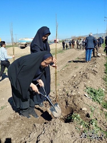 طرح نوار سبز امید کلاله اجرایی شد