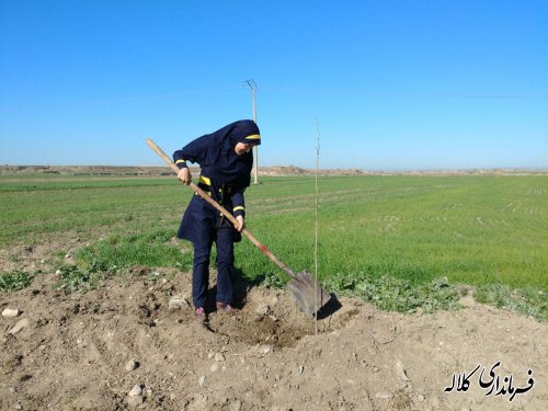 طرح نوار سبز امید کلاله اجرایی شد