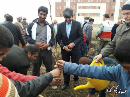 چندین اصله نهال در دانشگاه آزاد اسلامی کلاله غرس شد